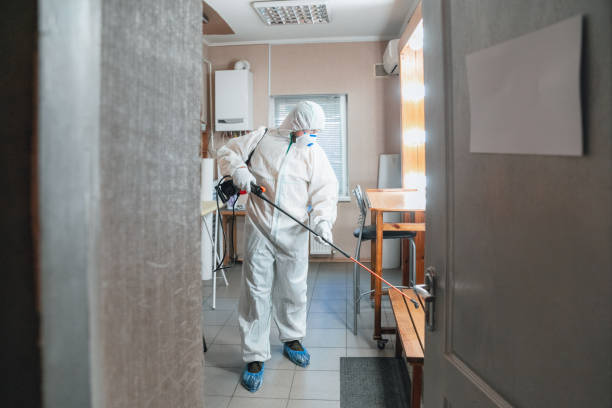 Best Attic Mold Removal  in Central Heights Midland City, AZ