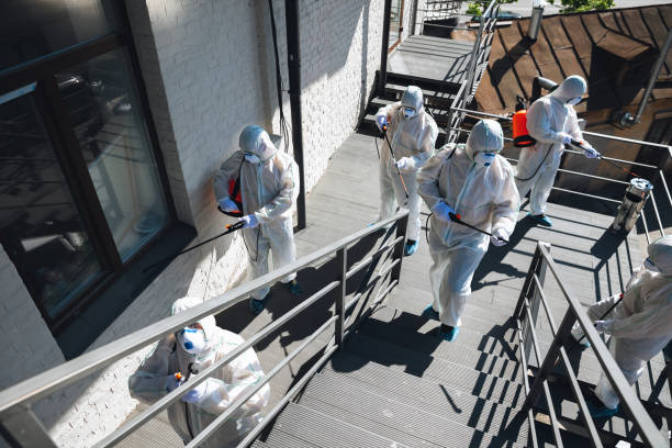 Biohazard Mold Removal in Central Heights Midland City, AZ