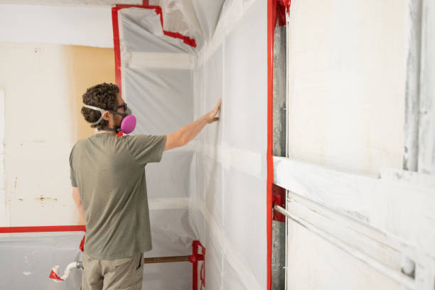 Best Post-Remediation Verification Testing  in Central Heights Midland City, AZ
