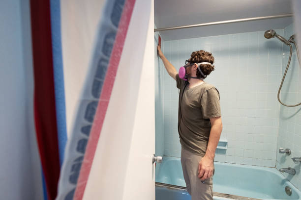 Best Mold Damage Restoration  in Central Heights Midland City, AZ
