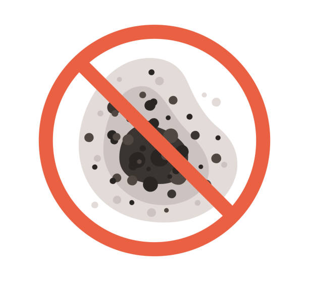 Best Mold Prevention Services  in Central Heights Midland City, AZ