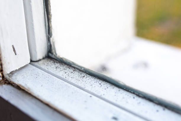 Best Air Quality Testing for Mold Spores  in Central Heights Midland City, AZ