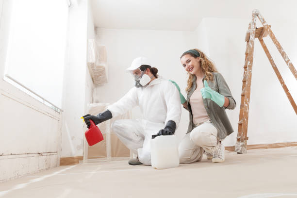 Mold Remediation for Vacation Homes in Central Heights Midland City, AZ